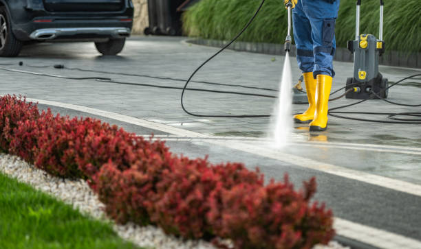 Animal Enclosure Cleaning